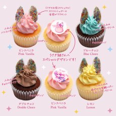 画像2: ＜ご予約終了しました＞【現役保育士VTuber 卯月るな】Runa's Celebration Box 2026（6個入り）｜購入者限定お茶会（9月23日15時）へご招待｜最短9月18日にお渡し (2)