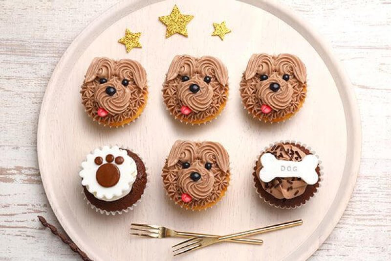 ドッグカップケーキボックス（6個）【11月1日は犬の日｜ブリーダーナビ