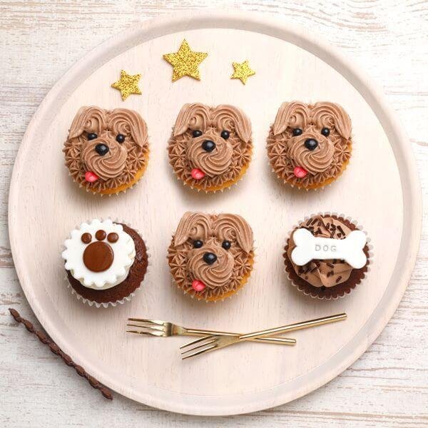 ドッグカップケーキボックス 5日後 カップケーキ ドッグカップケーキボックス 5日後 カップケーキ