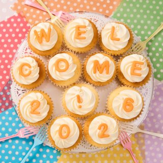 ドッグカップケーキボックス（6個）【11月1日は犬の日｜ブリーダーナビ