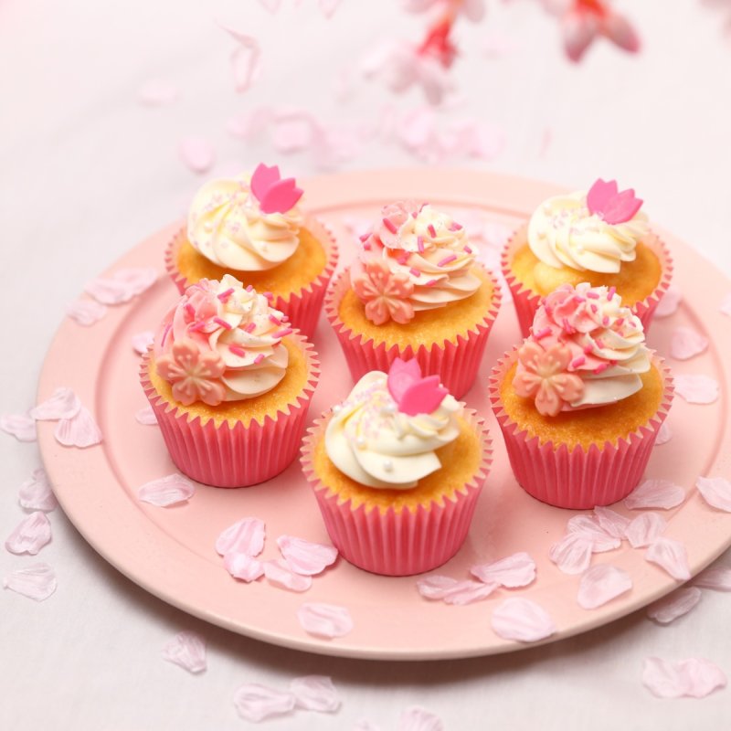 SAKURA満開ボックス｜6個（バニラ/チョコ） 7日後〜 | カップケーキ