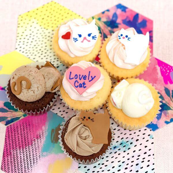 2月22日猫の日 キャットカップケーキbox 5日後 カップケーキ 2月22日猫の日 キャットカップケーキbox 5日後 カップケーキ