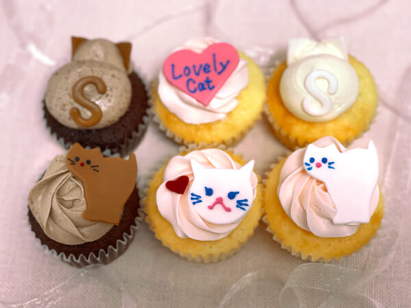 2月22日猫の日 キャットカップケーキbox 5日後 カップケーキ