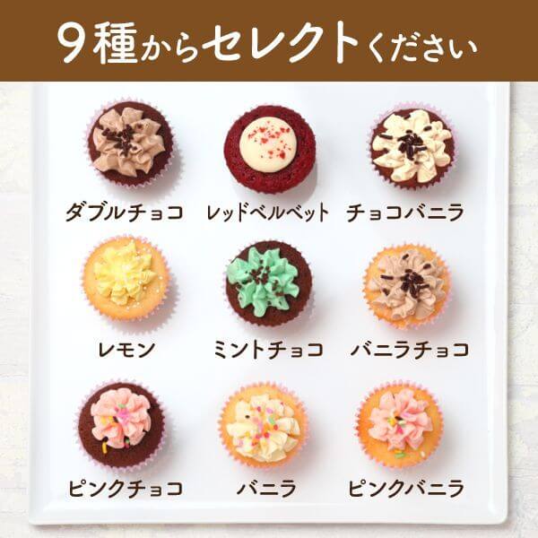 画像1: ミニカップケーキ トリプル（9種から3種セレクト）24個 (1)