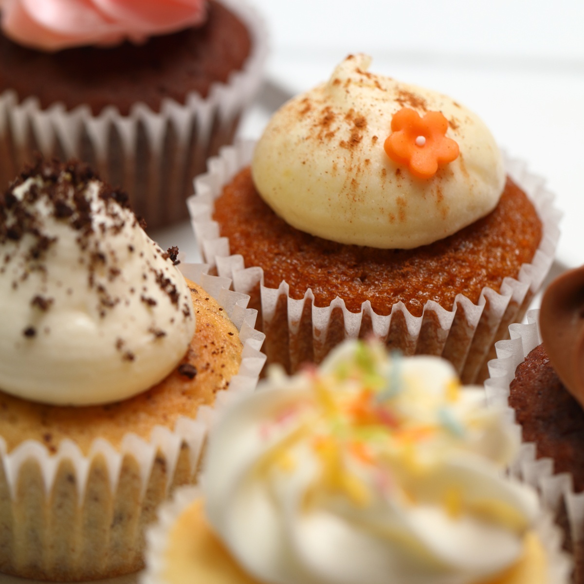 画像5: 【人気No.1】アソートセレクション（12個） (5)